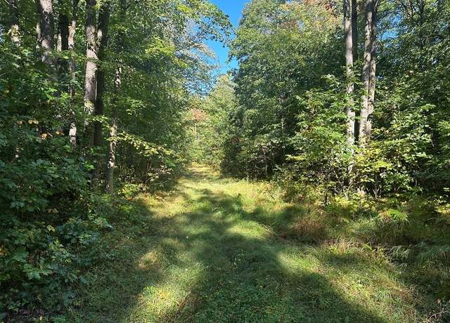 Property at Undisclosed address, Harrison, MI 48625