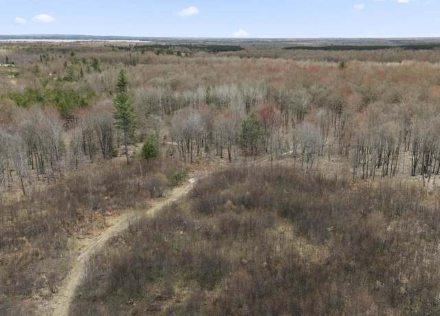 Property at Parcel B E 32 Rd Unit Parcel B, Cadillac, MI 49601