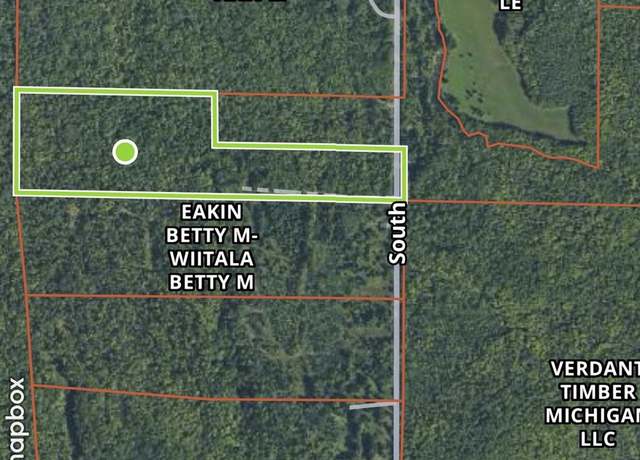 Property at TBD South Rd, Bohemia Township, MI 49965
