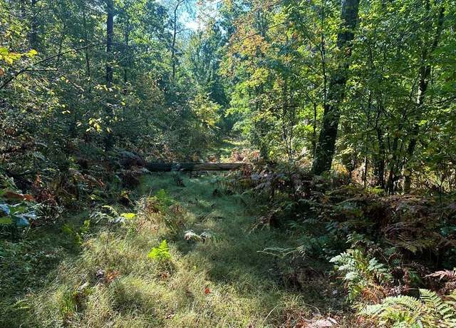 Property at Undisclosed address, Harrison, MI 48625