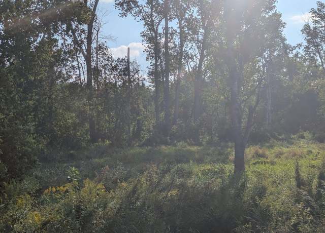 Property at N/A Andrews Rd, Tawas City, MI 48763