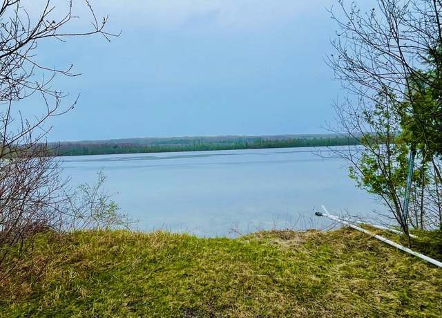 Property at 1368 S M-88, Bellaire, MI 49615, 2 beds, 1.5 baths