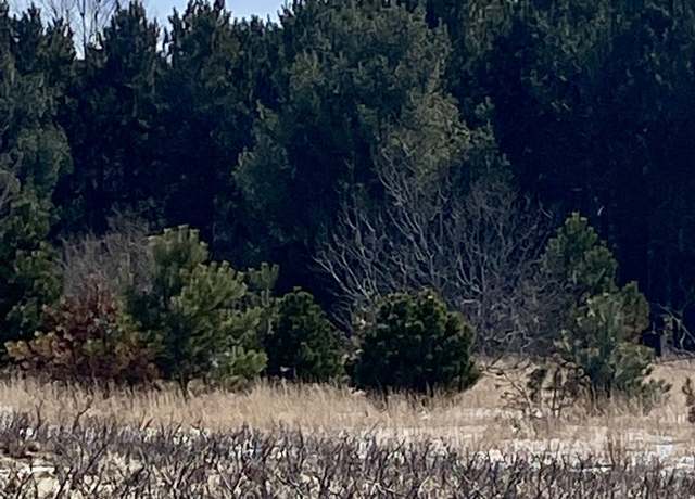 Property at 7430 Rapid City Rd Lot 1, Rapid City, MI 49676
