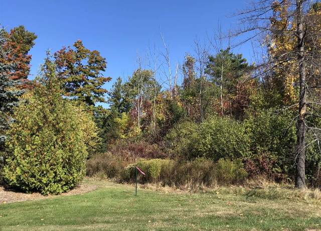 Property at #4 Lamoreaux Dr Lot : 4, Elk Rapids, MI 49629