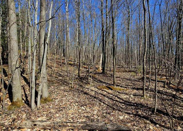 Property at TBD  W 10 Acres Prospect Dr, Bessemer, MI 49911
