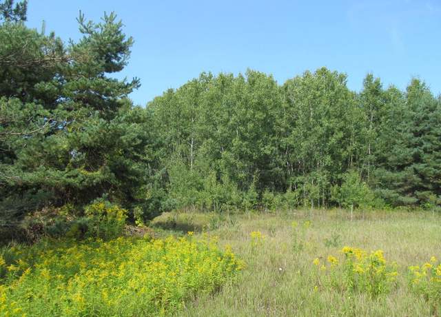 Property at '0' M-55, Cadillac, MI 49601
