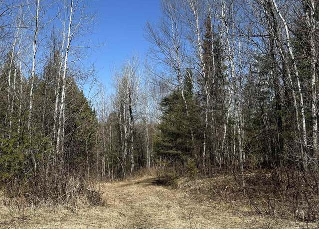 Property at TBD Old 69 Rd, Crystal Falls, MI 49920