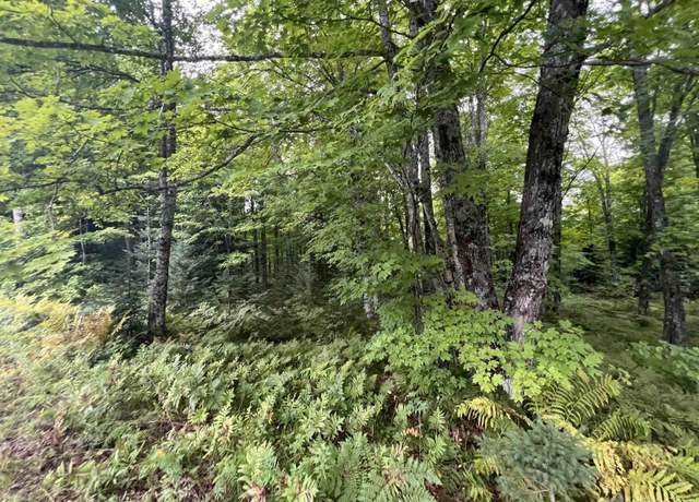 Property at TBD Old Beechwood Rd, Iron River, MI 49935