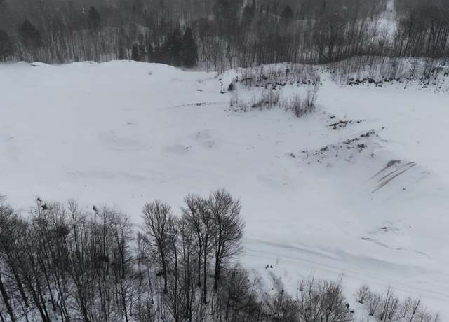 Property at TBD145 M-38 Hwy, Nisula, MI 49952