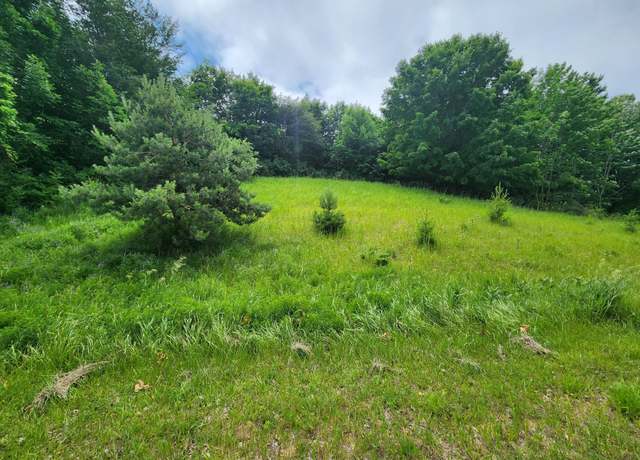 Property at 0000 Deer Ridge Trl, Beulah, MI 49617