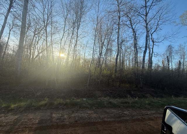 Property at 10 Acres Easton Rd, Gladwin, MI 48624