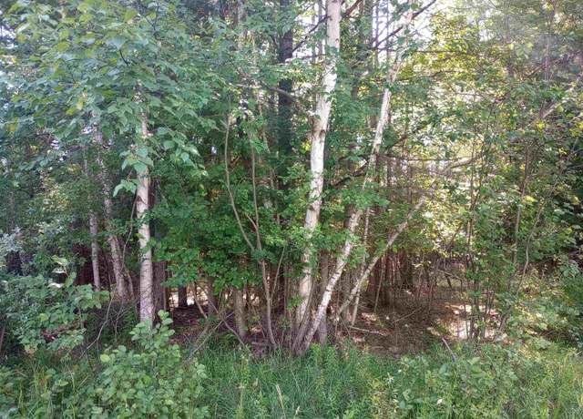Property at Lot 41 Sandbridge Ct, Gladwin, MI 48624