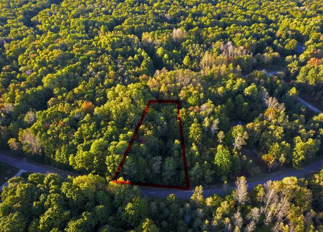 Property at V/L Springdale Lot 41, Elmira, MI 49730
