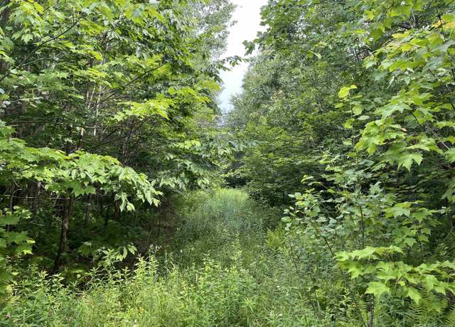 Property at 80 Acres Atherton Rd, Trenary, MI 49891