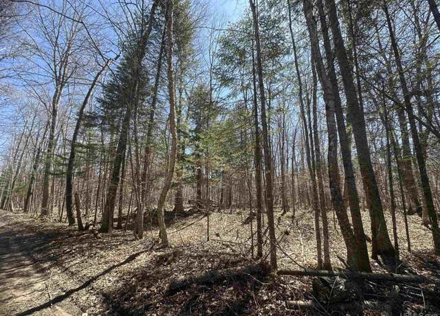 Property at TBD Lot 27 1st St St, Manistique, MI 49854