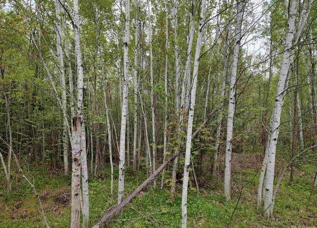 Property at TBD Victoria/Norwich Cut Across Rd, Rockland, MI 49960