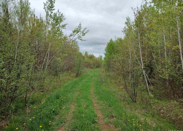 Property at TBD Victoria/Norwich Cut Across Rd, Rockland, MI 49960