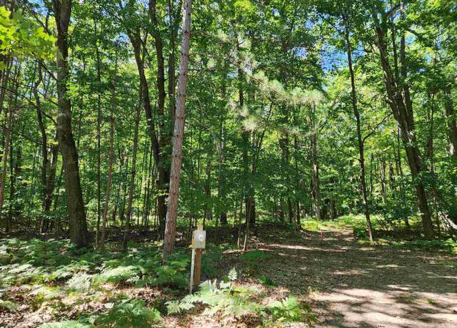 Property at Lot 234 Oak Run, Farwell, MI 48622