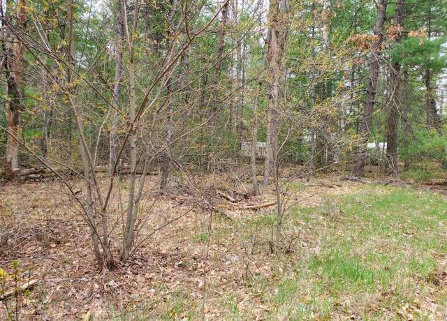 Property at 0 Silver Creek Dr, Prescott, MI 48756
