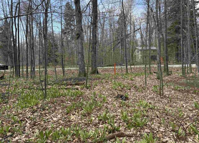 Property at 0000 E Sugar Maple Dr, Cedar, MI 49621