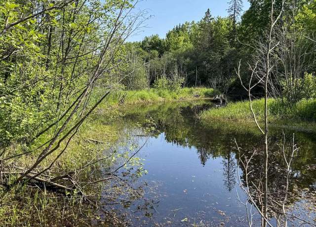 Property at TBD Off Hwy M-64 Hwy, Ontonagon, MI 49953