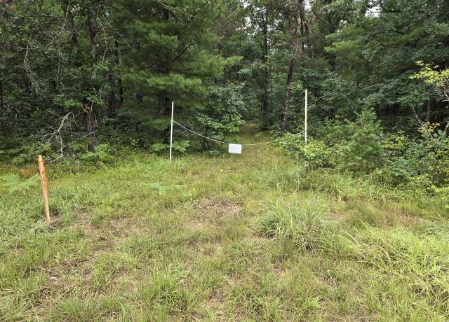 Property at V/L (A) V/l (a) E 44th, Idlewild, MI 49642