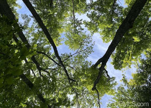 Property at TBD OFF THE HAZEL Rd, Twin Lakes, MI 49965