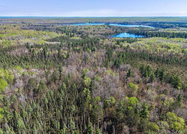 Property at Off Rifle Range Rd, Watersmeet, MI 49969
