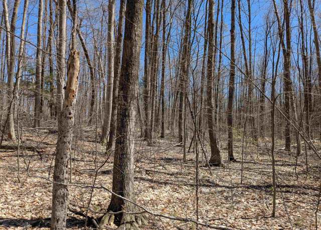 Property at Off Stark Rd Lot : 13, Mancelona, MI 49659
