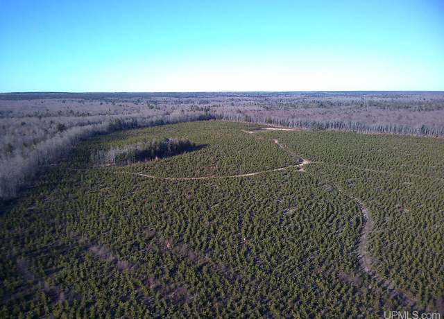 Property at TBD Parcel 3 16 Mile Lake Rd, Au Train, MI 49806