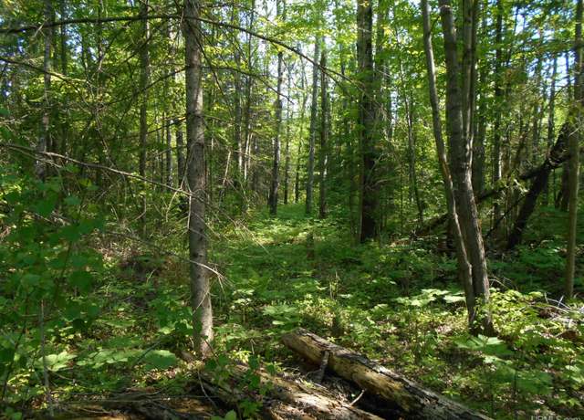 Property at 15893 State Hwy M-35 Hwy, Rock, MI 49880