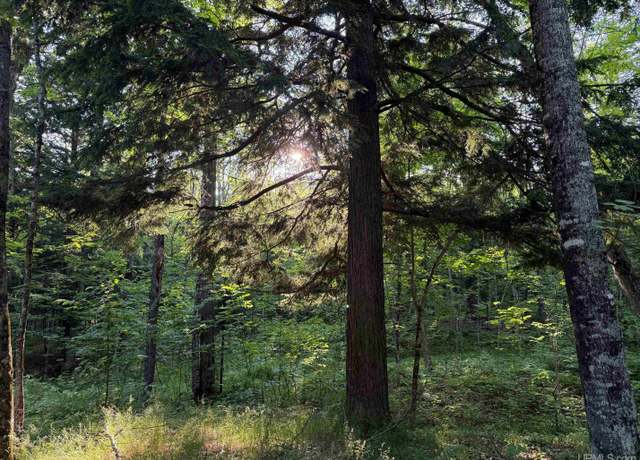 Property at TBD99 Moyer Rd, Baraga, MI 49908