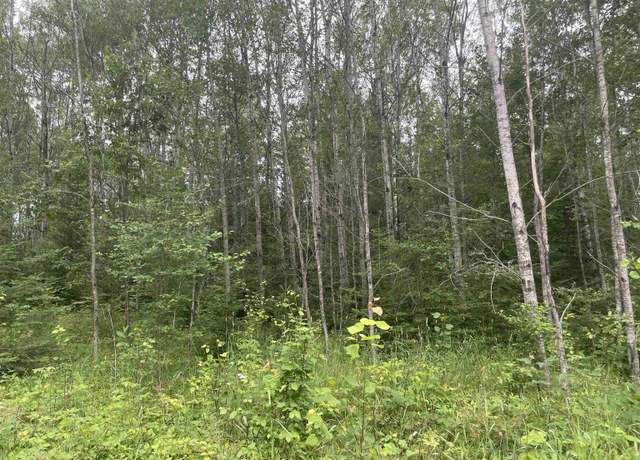Property at W Miller Rd, Mio, MI 48647