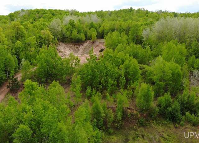 Property at TBD 1 Section Line Rd, Trout Creek, MI 49967