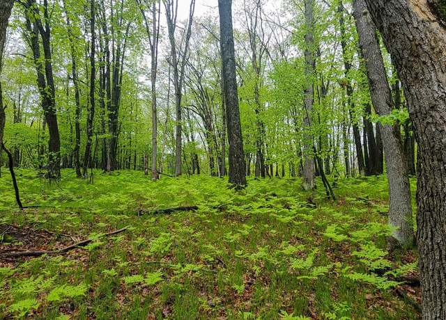 Property at Lot 606 Timber Rd, Farwell, MI 48622