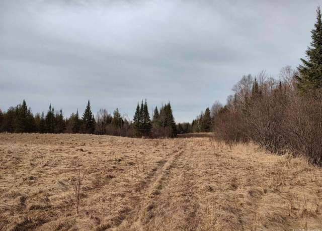 Property at 40 Acres Trombley 35th Road Rd, Rock, MI 49880
