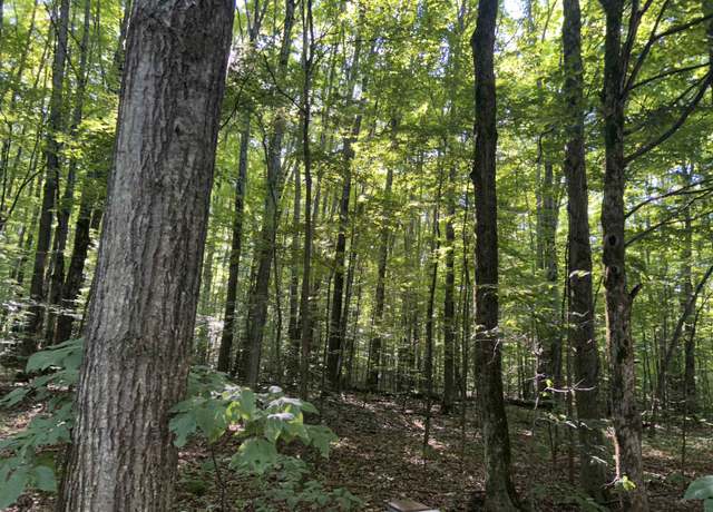 Property at Lot 41 Heideldorf Ln, Bellaire, MI 49615