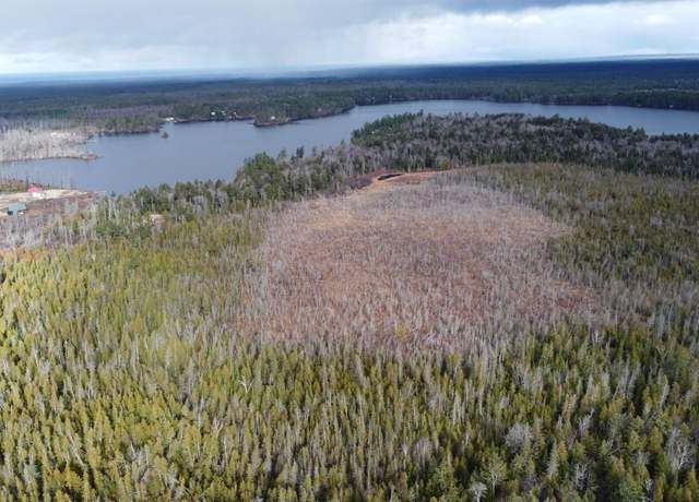 Property at TBD Off Of County Road 414, Mcmillan, MI 49853