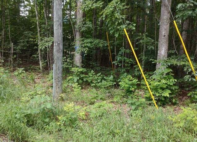 Property at 000 Pratt Rd, Lake Ann, MI 49650