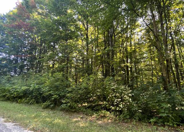 Property at Lot 466 Northwood Dr Lot : 466, Elmira, MI 49730