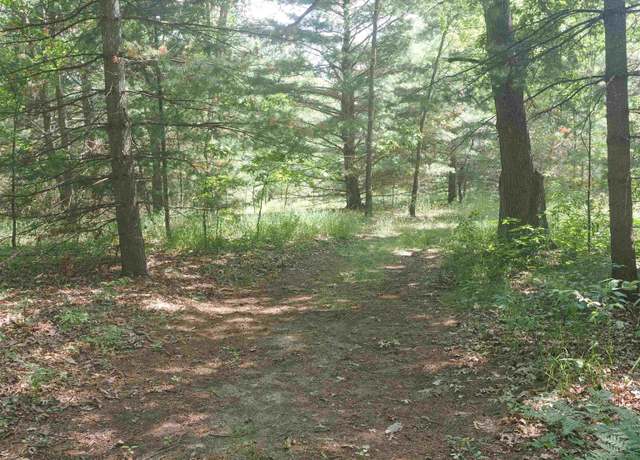 Property at XXX Birch Rd, Higgins Lake, MI 48627