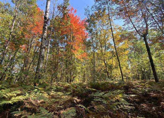 Property at Lot 135 Montrose Dr Lot : 135, Mancelona, MI 49659