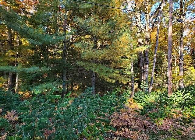 Property at 0 Scenic River Dr Lot : 22-23, Alger, MI 48610