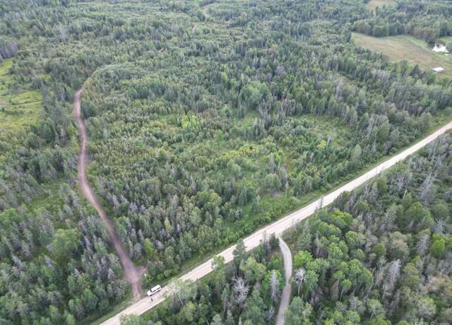 Property at TBD Triple Creek Rd Rd, MI 49818