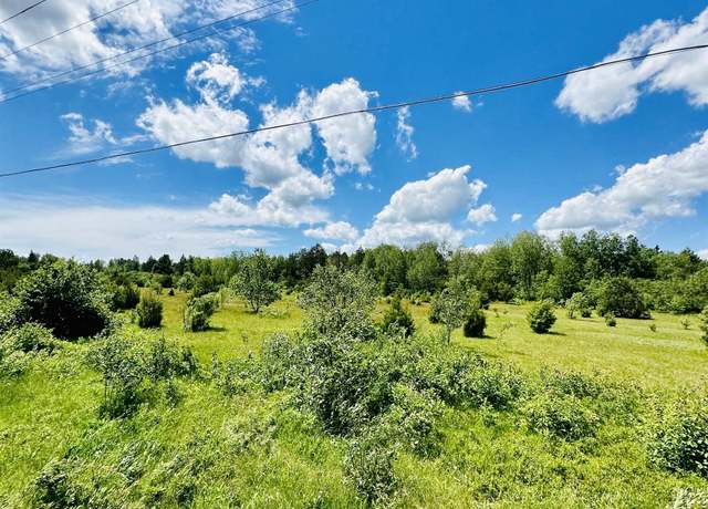 Property at TBD Hawks Dr Unit Parcel C, Republic, MI 49879