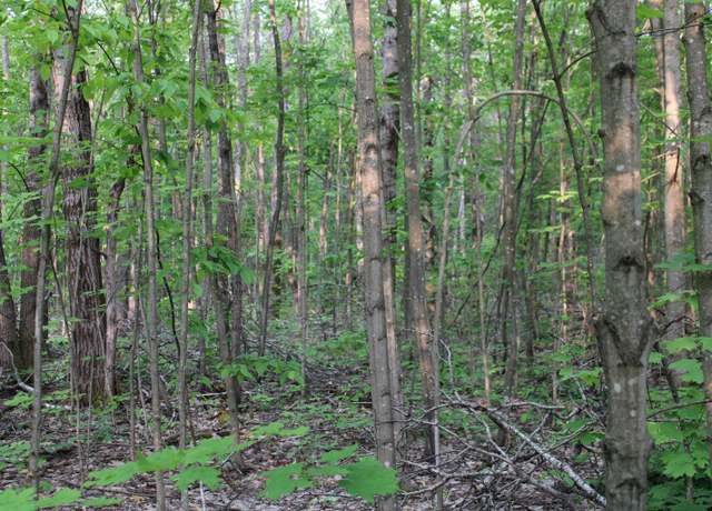Property at Snowridge Trl Lot : 103, Elmira, MI 49730