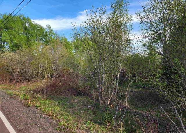 Property at TBD Part Lot 39 Millionaire St, Calumet, MI 49913