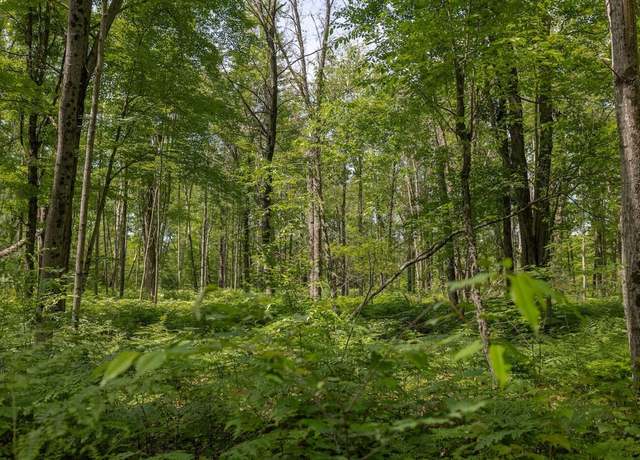 Property at 000 V/l 13 Mile Rd Unit Par D, Bitely, MI 49309