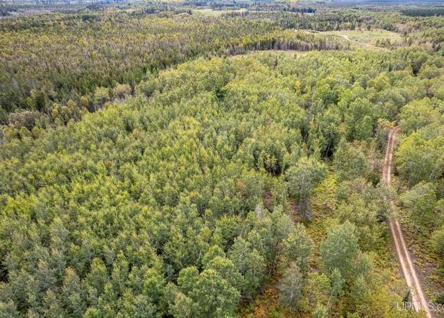 Property at TBD Off River RD "South 40" Rd, Perronville, MI 49873