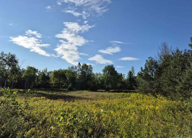 Property at 50 Acres M67 Hwy, Trenary, MI 49816